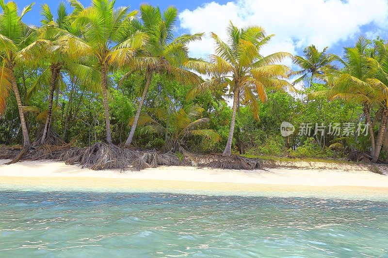 热带天堂:沙漠荒芜的绿松石海滩，Saona岛，Punta Cana -多米尼加共和国